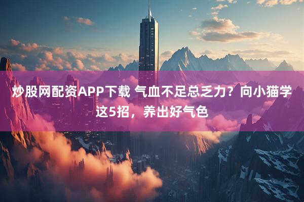炒股网配资APP下载 气血不足总乏力?向小猫学这5招,养出好气色